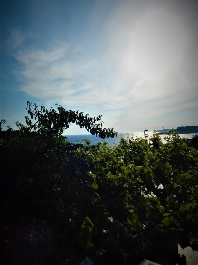 Vila Teodora Sveti Stefan Exterior foto